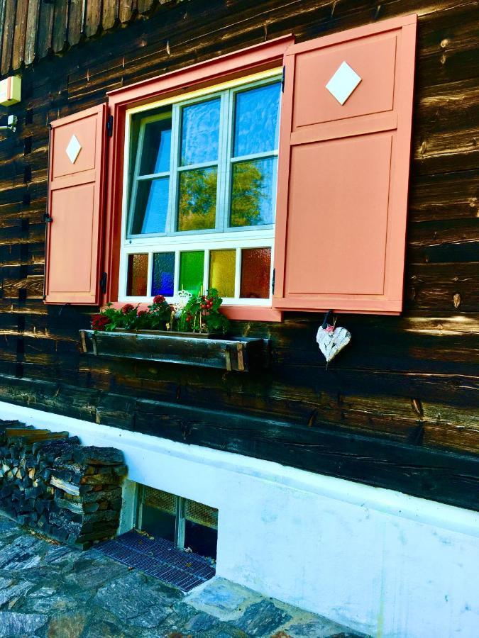 Naturforsthaus Ferienwohnung Fuer Hunde- Und Tierverbundene Menschen Preitenegg エクステリア 写真