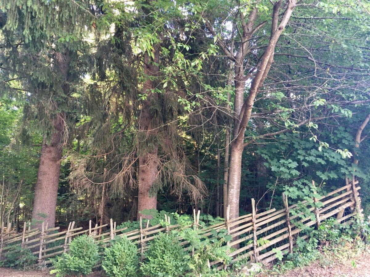 Naturforsthaus Ferienwohnung Fuer Hunde- Und Tierverbundene Menschen Preitenegg エクステリア 写真