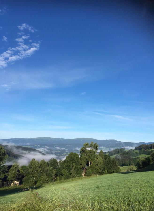 Naturforsthaus Ferienwohnung Fuer Hunde- Und Tierverbundene Menschen Preitenegg エクステリア 写真