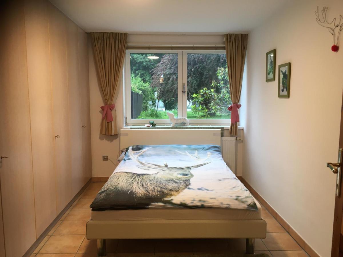 Naturforsthaus Ferienwohnung Fuer Hunde- Und Tierverbundene Menschen Preitenegg エクステリア 写真