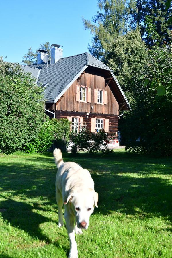 Naturforsthaus Ferienwohnung Fuer Hunde- Und Tierverbundene Menschen Preitenegg エクステリア 写真